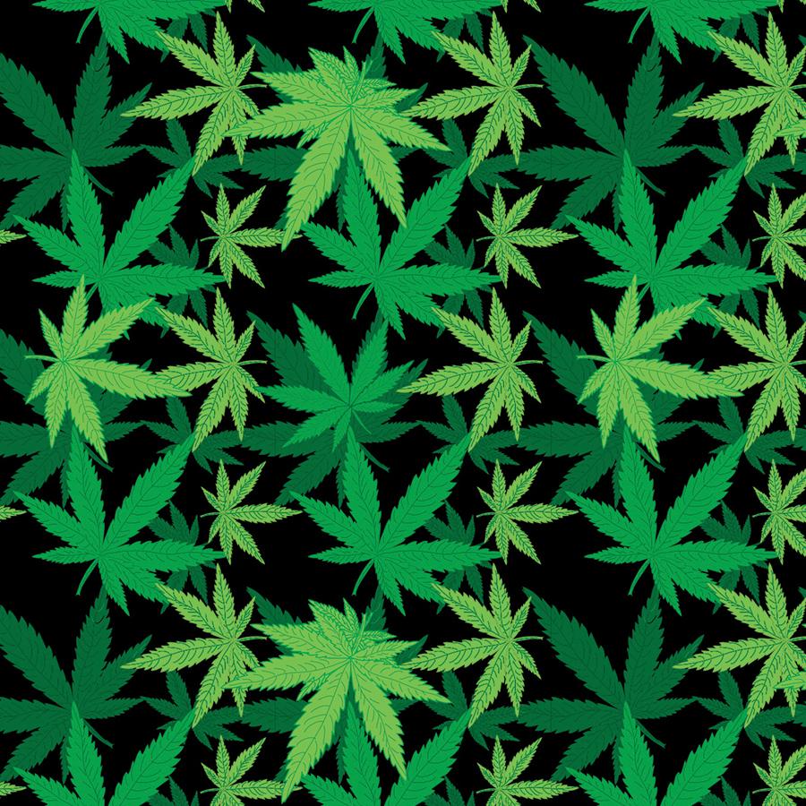 Cannabis Print Bandana