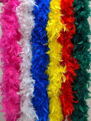 6' 60 gram Assorted Feather Boas (pack of 12)