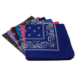 Bandanas paisley assorties (paquet de 12)
